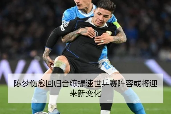 陈梦伤愈回归合练提速世乒赛阵容或将迎来新变化 | yabo.comapp